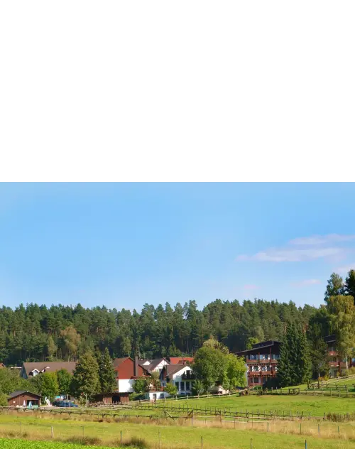 Waldhotel Bächlein Waldhotel Bächlein